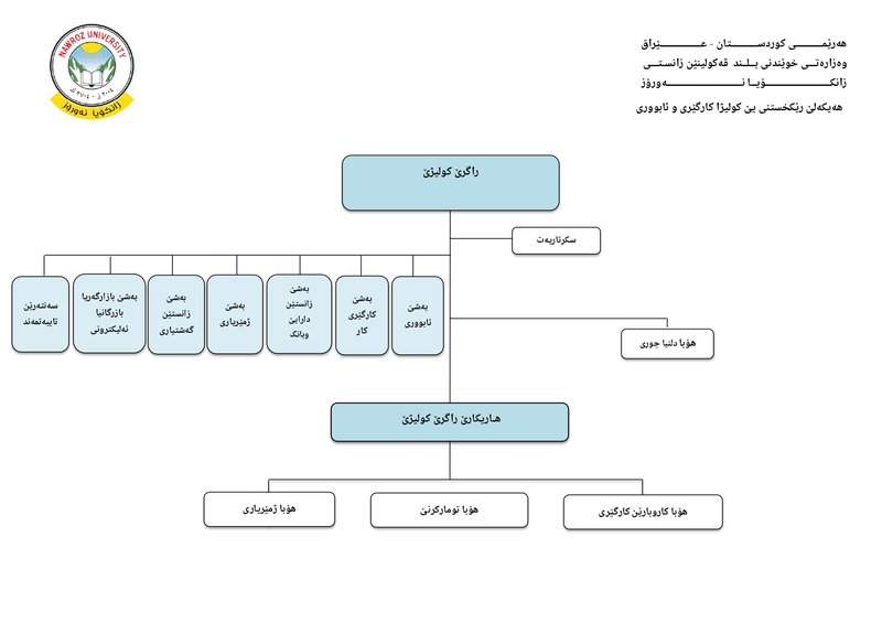 كلية الادارة والاقتصاد